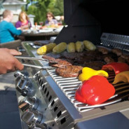 Gas Grill Safety